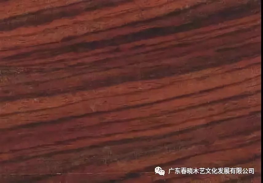 你真的了解酸枝嗎？只是那些俗稱就能把你弄暈頭了(圖2)