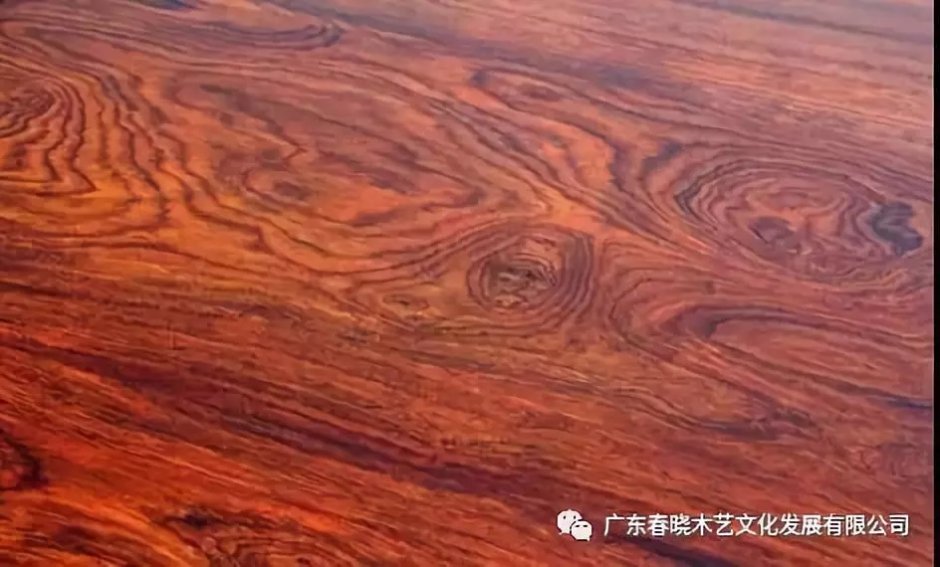 你真的了解酸枝嗎？只是那些俗稱就能把你弄暈頭了(圖4)